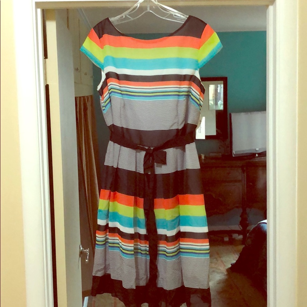 Dress barn size 14